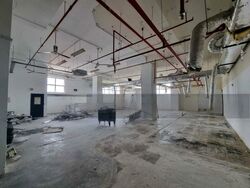 Elite Industrial Building Ii (D13), Factory #455923941